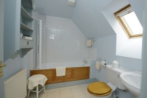 bathroomslow3.jpg